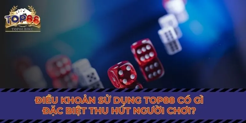 Điều Khoản Sử Dụng Top88 Có Gì Đặc Biệt Thu Hút Người Chơi