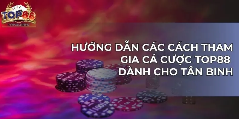 Hướng dẫn các cách tham gia cá cược TOP88 dành cho tân binh 