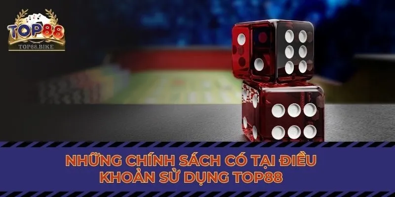 Những chính sách có tại điều khoản sử dụng Top88