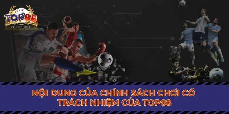 Nội dung của chính sách trách nhiệm của Top88